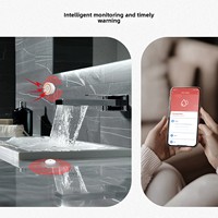 Alarme de fuite d'eau Zigbee, détecteur de fuite d'eau intelligent avec contrôle à distance via l'application Tuya Smart Home