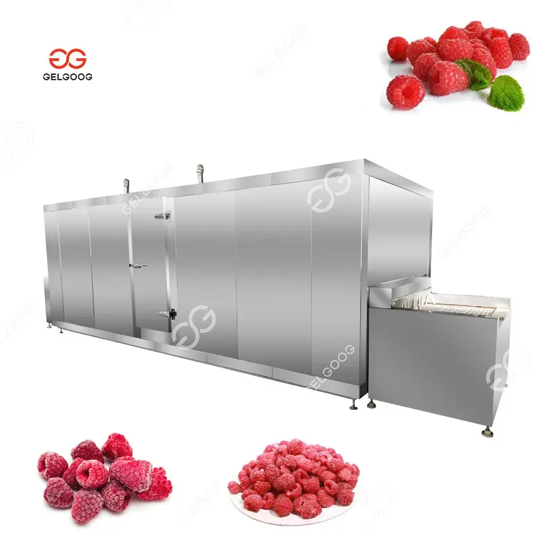 Gelgoog Automatische Iqf Frozen Fruit Lijnmachine Gefluïdiseerde Stroom Tunnel Vriezer Vriesapparatuur