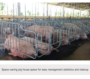 Domuz hayvan kafesleri için yeni tasarım yuvarlak çelik Gestation sandık Columbia için güney amerika pazarı için özel - Product Image 5