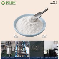 Catalizador de Zeolita TS-1 para la Hidroxilación de Fenol, Producción de Catecol e Hidroquinona, Oxidación de H2O2, Catalizador de Zeolita MFI