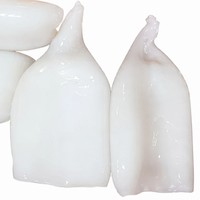 Calamar Congelé IQF Premium, Tubes Nettoyés et Dépelliculés, Todarodes Gigas U3 U5 U7 U10, Fruits de Mer en Gros de Haute Qualité, Origine Chine