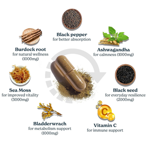 Suplemento Todo en Uno OEM, Musgo Marino, Aceite de Semillas <span class=keywords><strong>Negras</strong></span>, Ashwagandha, Alga Marina, Bardana, Vitamina C, Apoyo a la Vitalidad y Energía, 120 Cápsulas - Product Image 2