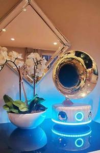 Lecteur de travail Original Vintage phonographe tourne-disque gravité coulée pièces de Gramophone Antique - Product Image 6