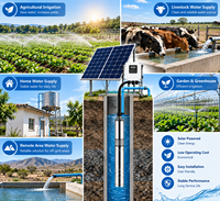 Pompe à eau solaire à vis 3YIS / 4YIS de 3 et 4 pouces, pompe submersible pour puits profond DC avec contrôleur MPPT intégré