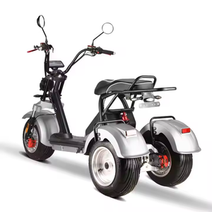 Triciclo Eléctrico Loyal de 3 Ruedas, Scooter con Doble Motor de 2000W/4000W, GPS, Plegable, Resistente al Agua, Baterí<span class=keywords><strong>a</strong></span> de Litio, Autonomí<span class=keywords><strong>a</strong></span> de 60-100 km - Product Image 4