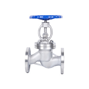 Válvula de Globo con Brida de Acero Inoxidable 304 J41W-16P de 1 Pulgada para Control de Vapor a Alta Temperatura y Aceite Térmico - Product Image 4