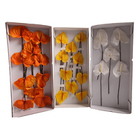 Vente en gros, décoration préservée pour toujours, tête de fleur d'Anthurium naturel pour cadeau de Saint-Valentin