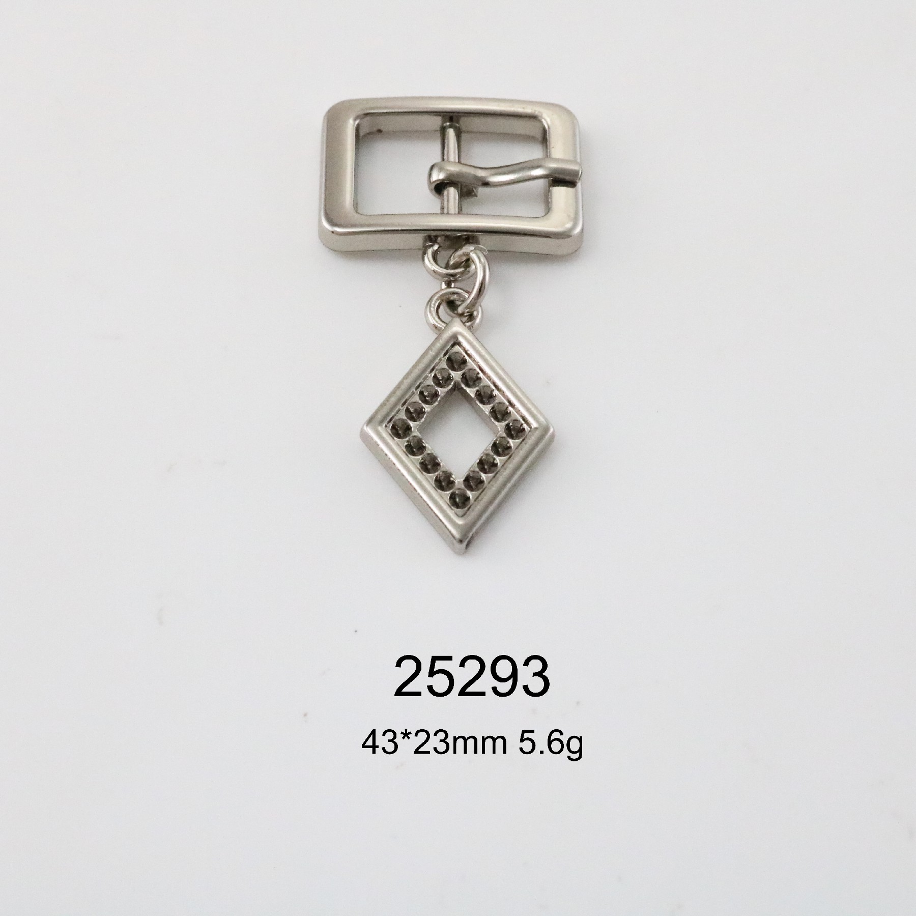 25293