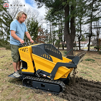 Mini-Dumper Raupendumper 500kg Traglast Raupen-Minitransporter Anpassbar 1 Tonne Kapazität für Landwirtschaftstransport