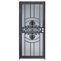 Portes anti-tempête de sécurité américaines de luxe en acier de 36x80 pouces pour l'entrée des maisons Porte anti-moustiquaire en fer forgé avec serrure
