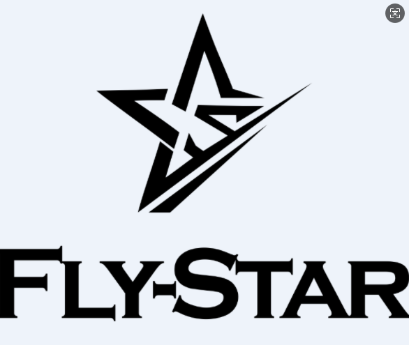 HONGKONG FLYSTAR INDUSTRY LIMITED logo