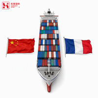 Transitaire professionnel européen Chine-Allemagne, Royaume-Uni, France, Italie, Espagne DDP par mer, air, rail, porte à porte