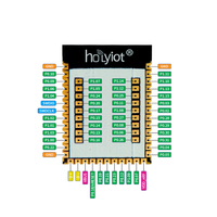 Módulo de Desarrollo de Automatización Inteligente Holyiot BLE5.0 de Bajo Consumo con Tecnología Mesh, Placa de Desarrollo 18010 con Módulo Nordic NRF52840