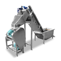 Roestvrijstalen 304 Surf Type Fruit & Groenten Wasmachine Aansluiten Op Sapmachine
