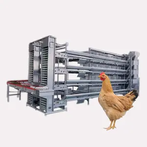 For Ghana Egg Layer Chicken Cage Poultry Farm Chicken House With Automatic Feeding System