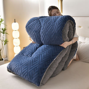 Couette <span class=keywords><strong>d</strong></span>'hiver réversible en polyester, épaisse et chaude, en velours de lait et polaire <span class=keywords><strong>d</strong></span>'agneau, couleur unie, patchwork, écologique, pour hôtel - Product Image 2