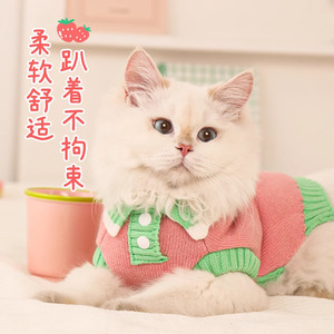 Pull d'hiver pour chat, vêtements chauds rose baie pour chatons et chats Ragdoll, vêtements de loisirs pour animaux de compagnie - Product Image 2