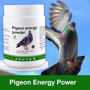 Sportduif Zes In Één Energiepoeder Hoog Snel Sterk - Product Image 3