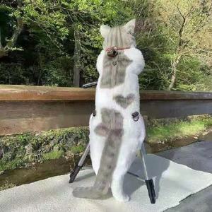 2022การออกแบบที่กำหนดเองของคุณเองเหมือนแมวกระเป๋าเป้สะพายหลัง<span class=keywords><strong>3D</strong></span> ยัดของเล่นตุ๊กตา - Product Image 4