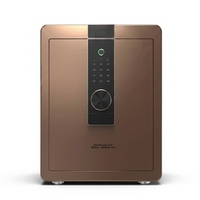 Coffre-fort personnalisé en acier allié avec serrure électronique numérique et à clé, noir et or, petit coffre-fort pour bureau, maison, hôtel