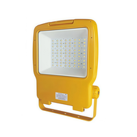 Projecteur LED antidéflagrant ATEX série BAT, économie d'énergie, 60/90/120/160W, IIC, lampes suspendues au plafond, lampes murales à montage sur poteau