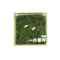 Mini Maceta de Musgo Acrílico Verde Hecha a Mano para Escritorio, Planta en Maceta Creativa para Oficina, Micro-Paisaje Curativo, Regalo Novedoso para Mesa de Jardín