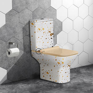 Inodoro de Dos Piezas, Duradero, Promocional, de Cerámica, para Baño, de Color, Montado en el Suelo - Product Image 2