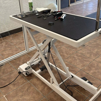 Table de toilettage électrique de luxe de haute qualité pour animaux de compagnie, avec levage croisé, en plastique et caoutchouc, pour usage en salle de bain