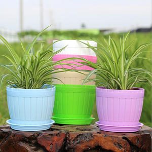 AAA359 <span class=keywords><strong>Mini</strong></span> colori della caramella decorazioni per la casa <span class=keywords><strong>piante</strong></span> da vaso <span class=keywords><strong>piante</strong></span> <span class=keywords><strong>grasse</strong></span> vaso di plastica rotondo scrivania <span class=keywords><strong>vasi</strong></span> da fiori con Trray - Product Image 3