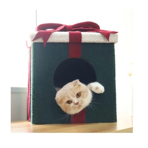 Новейший дизайн, кровать для кошек - Product Image 1
