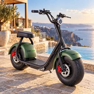 Brasilien Überseelager R1 Elektrischer Moped-Roller Großhandelslieferant 1000W 32km/h 200kg Maximallast - Product Image 1