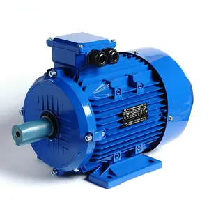 IE4 series 5 .5kw 3 Phase Ac 380v Electric Motor Asynchronous Three Phase Induction Motor