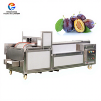 Hoge Kwaliteit Automatische Commerciële Fruitverwerking Zaadverwijderingsmachine Abrikozenprune Coring Pitting Destone Machine