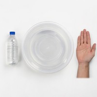 Grand saladier alimentaire en plastique transparent de 4000 ml avec couvercle hermétique, idéal pour les plateaux de service, la restauration et les événements en gros.