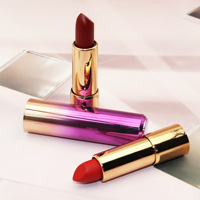 Vente en gros de rouge à lèvres de maquillage végétalien rouge à lèvres mat de marque privée naturel imperméable marque privée rouge à lèvres de luxe