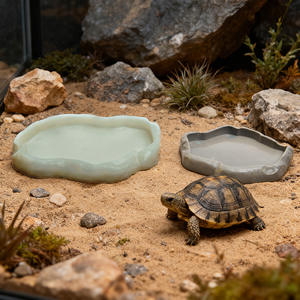 Kertenkele chamemunlar yılanlar için plastik sürüngen su kasesi Geckos boynuzlu kurbağalar kaplumbağalar kaya peyzaj besleme kasesi - Product Image 1