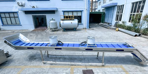 Gıda işleme, meyve yıkama ve sıralama hattı için paslanmaz çelik meyve kemeri asansör konveyörü - Product Image 6