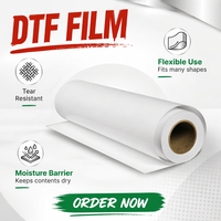 Film en rouleau DTF 30 cm x 100 mètres pour l'impression sur vêtements