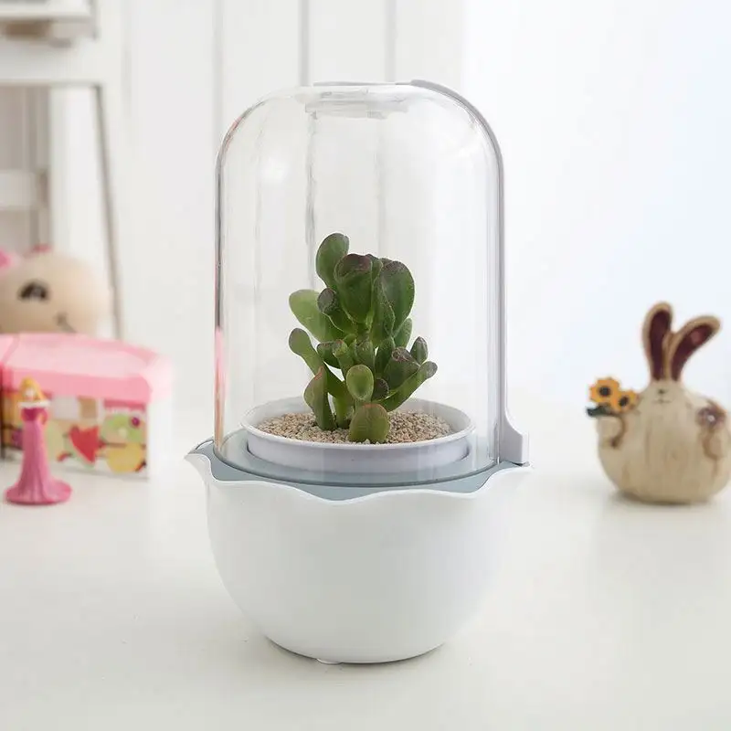 Indoor Garden kit Smart Flower Pots for Succulent Growing with Timing indoor smart garden systems real succulent plants