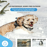 Collier anti-aboiement rechargeable pour chien, accessoire pour animaux de compagnie en nylon, fonction anti-aboiement