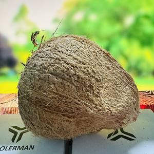 Tratamiento tropical - Product Image 1