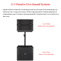 Caisson de basses passif 500W 15 pouces pour les événements de tournée Salles de concert Théâtres Clubs Bars