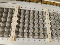 Machine de fabrication de barquettes à œufs en plastique/aluminium pour 30 œufs, prix usine, ligne de production de boîtes à œufs en pâte à papier à 4 côtés