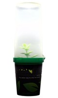Lumière LED d'emballage de transport de clone de semis de jeune plante vivante