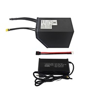 Pack de batteries liquides AMORGE 16S10P 60V 50AH 220A avec BMS Bluetooth ANT et boîtier métallique pour vélo électrique MX500 SX500 MX650