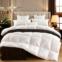 Couette personnalisée avec logo, 70 % duvet de canard blanc, insert de couette de luxe pour hôtel, couette chaude d'hiver, noyau de couette, fournisseur de literie