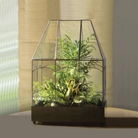 Terarium kaca terarium hitam, bentuk rumah kaca logam terarium dengan tutup Pot tanaman perlengkapan dekorasi rumah