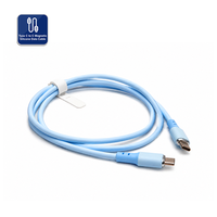 Câble de données magnétique USB-C vers USB-C en silicone (bleu ciel) 100W, toucher doux, 100 cm, anti-emmêlement pour ordinateur