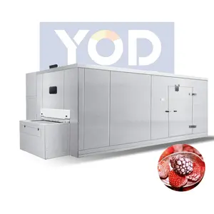 500Kg Tunnel Freezer Iqf Quick Freezing Machine For Seafood