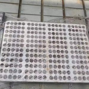 Кубики 1,5 дюймов, Гидропонные кубики, 40x40x40 мм, для выращивания каменной ваты, для растений, прорези для прорастания семян - Product Image 6